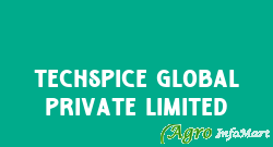 Techspice Global Private Limited noida india