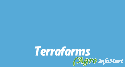 Terrafarms morena india