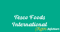 Tesco Foods International mumbai india