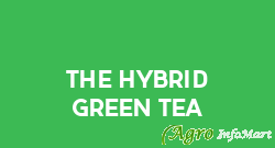 The Hybrid Green Tea