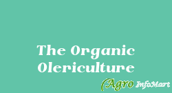 The Organic Olericulture chennai india