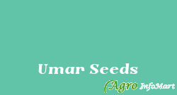 Umar Seeds