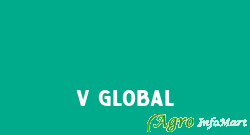 V Global