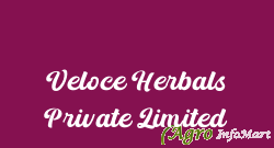 Veloce Herbals Private Limited gwalior india