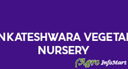 Venkateshwara Vegetable Nursery madanapalle india