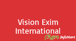 Vision Exim International